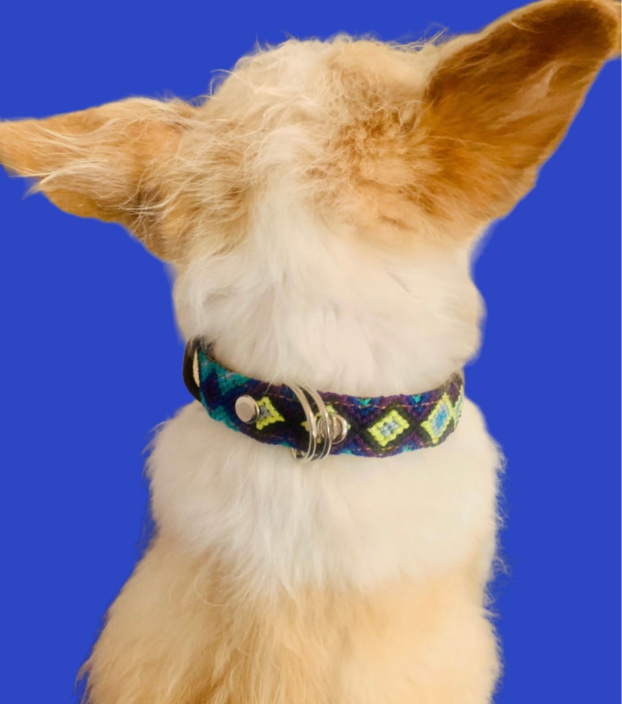Mexican Dog Collar - Small