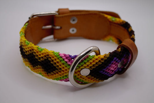 Mexican Dog Collar - Medium